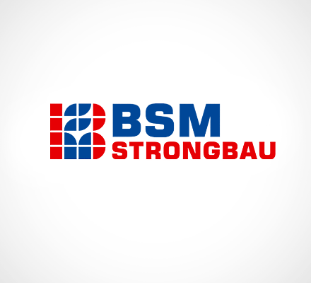 logo firmy BSM